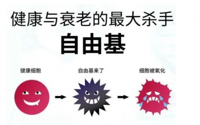 玻尿酸的作用與功效有哪些？